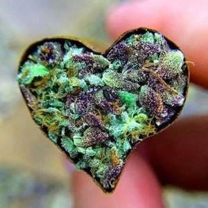 Meet your Posher, Randy